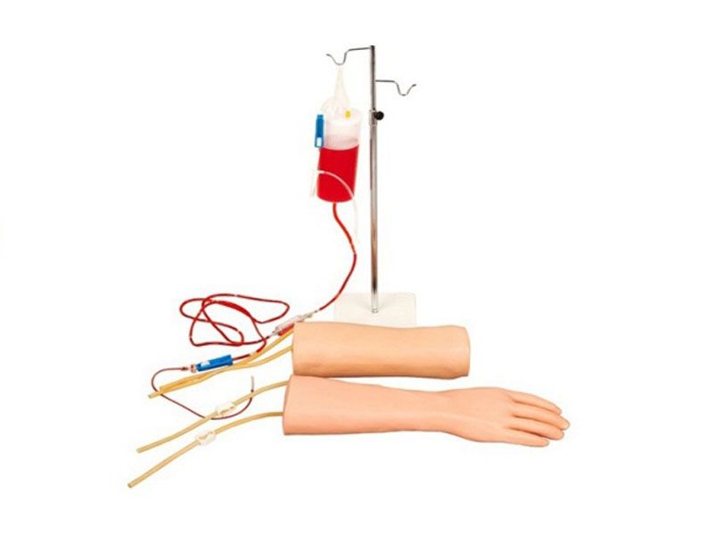  手部、肘部组合式静脉输液（血）训练模型